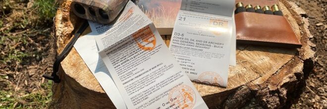 Understanding Firearm Laws for Nonimmigrant Aliens: A Guide for Gun Ranges and Owners