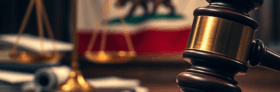 Ninth Circuit Ruling: Background Checks for Ammo Unconstitutional